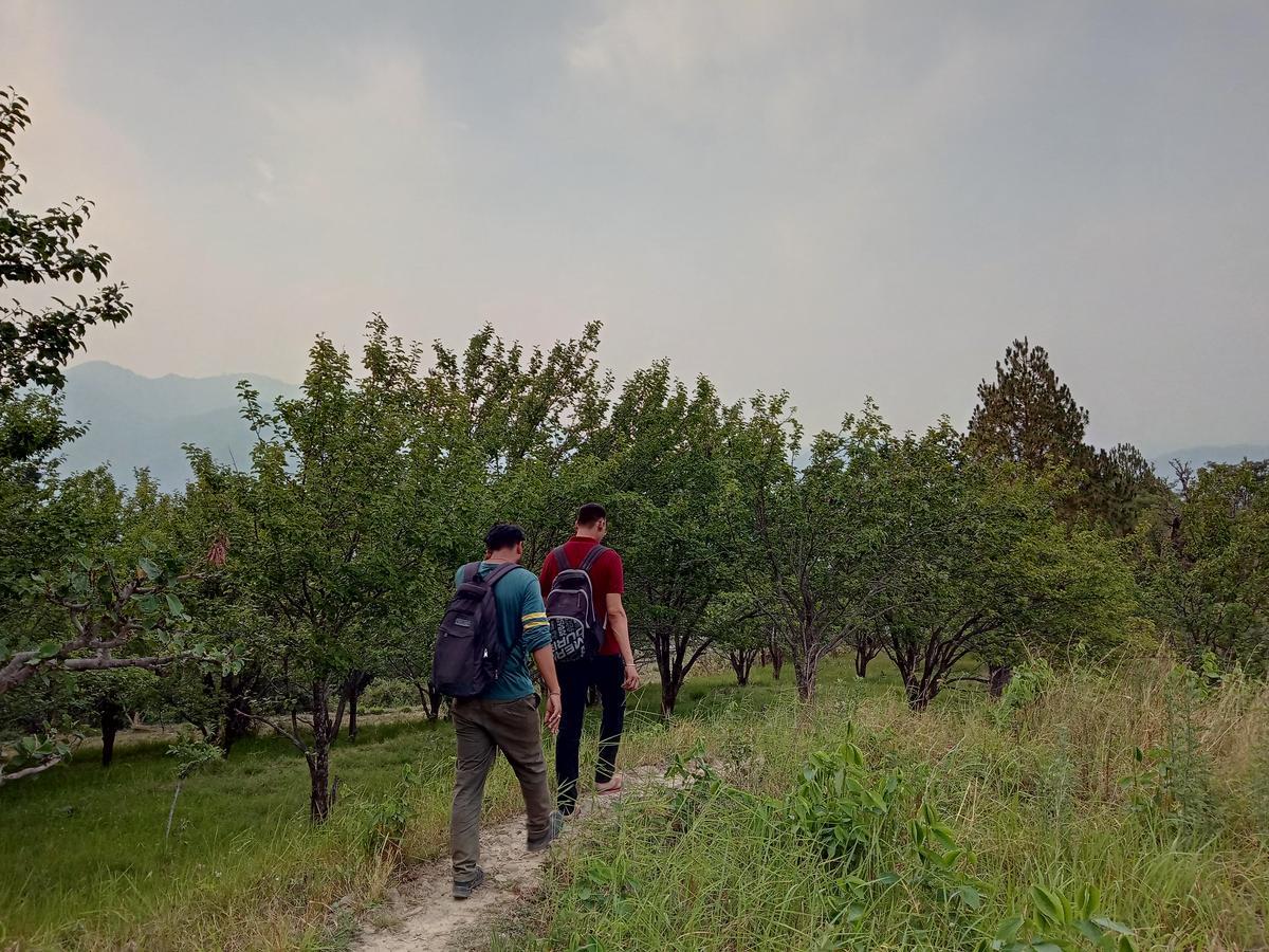 Vista Hostel Jeolikote, Nainital Patwa Dunga Bagian luar foto