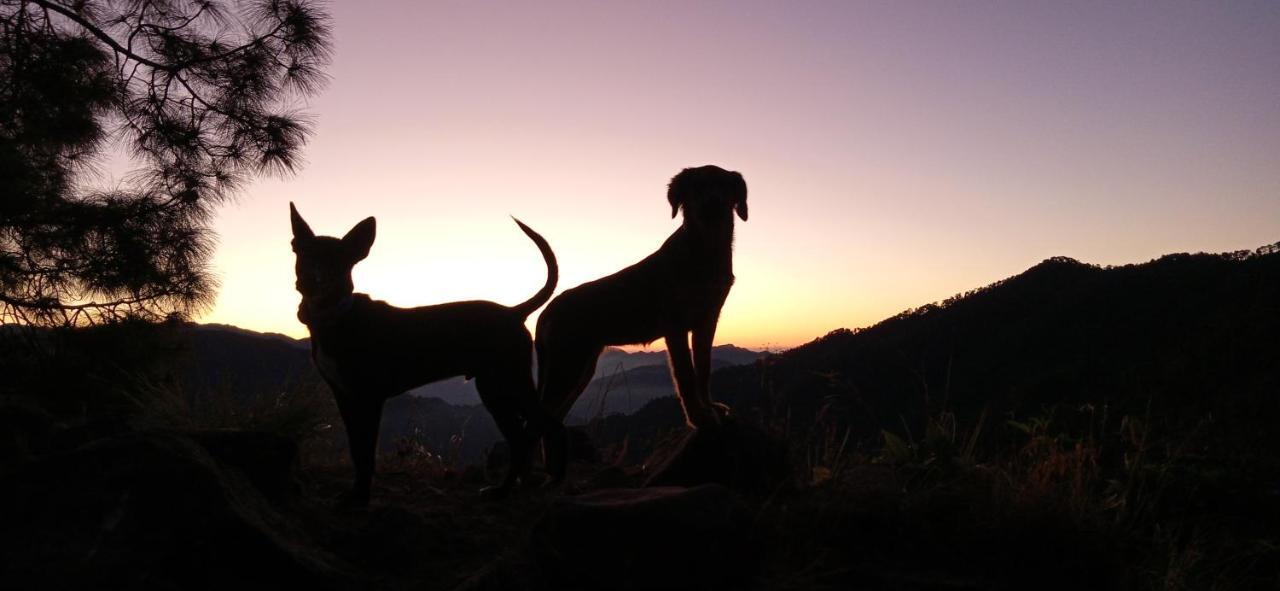 Vista Hostel Jeolikote, Nainital Patwa Dunga Bagian luar foto